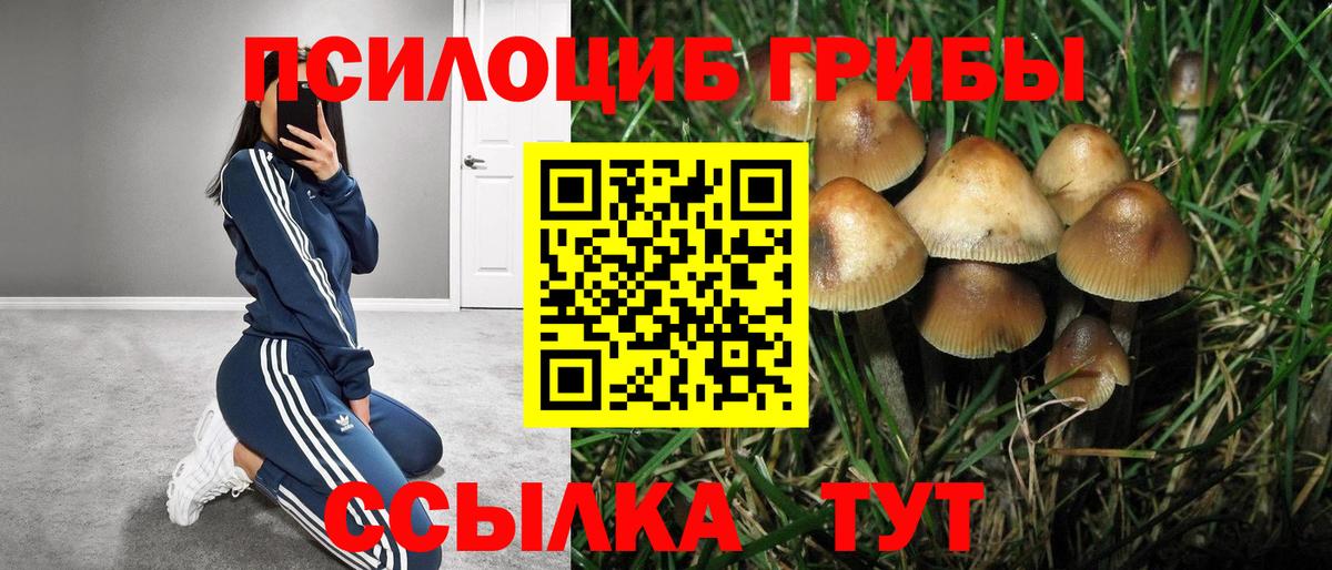 Псилоцибиновые грибы Cubensis  Псилоцибиновые грибы ЛСД  Вход с VPN  Елизово 