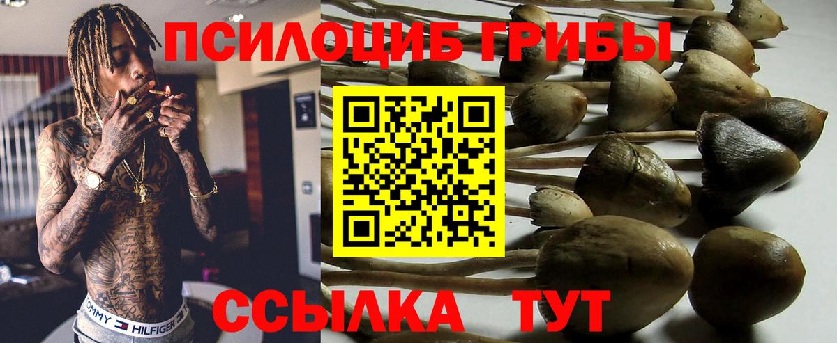Псилоцибиновые грибы Magic Shrooms Елизово